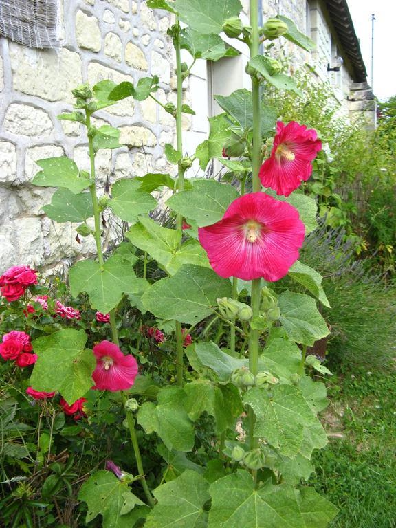 La Balastiere Beaumont-en-Véron Buitenkant foto